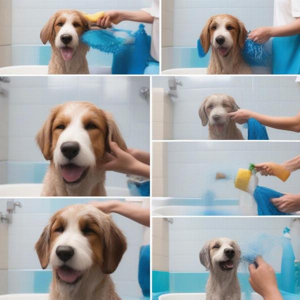 Dog Being Washed with Blue Shampoo