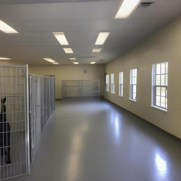 Clean and spacious dog boarding facility in Montgomery, AL