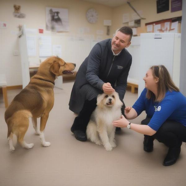 Meeting Dog Boarding Staff in Wrexham