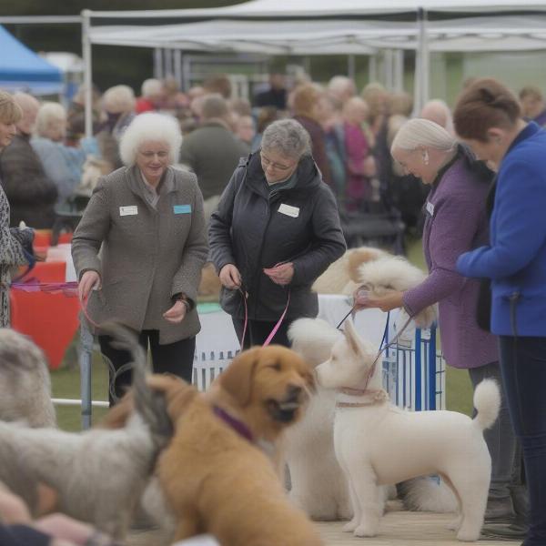 Dog Breeders in Kent and Dog Shows