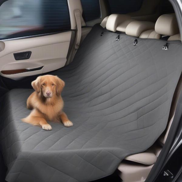 Installing a Dog Car Seat Cover