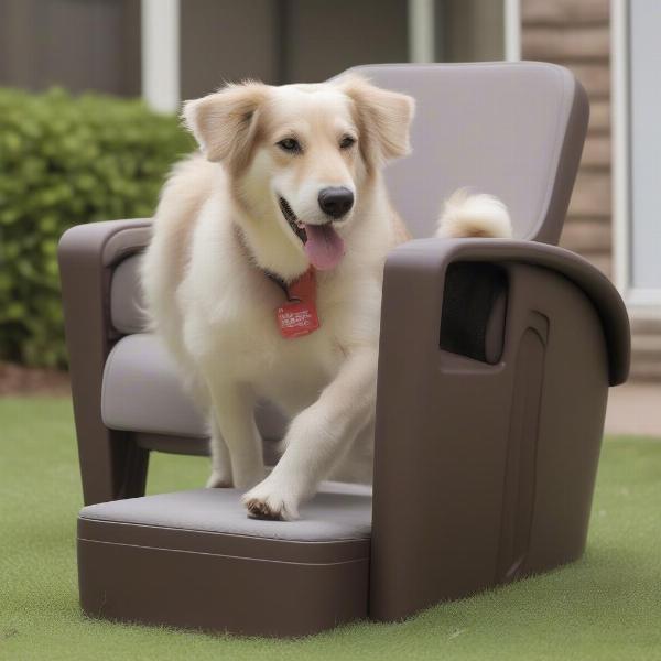 Dog Chair with Ramp Benefits