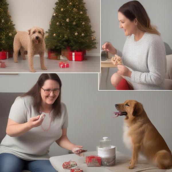 Tips for taking the perfect Christmas photo of your dog, including lighting, treats, and patience.