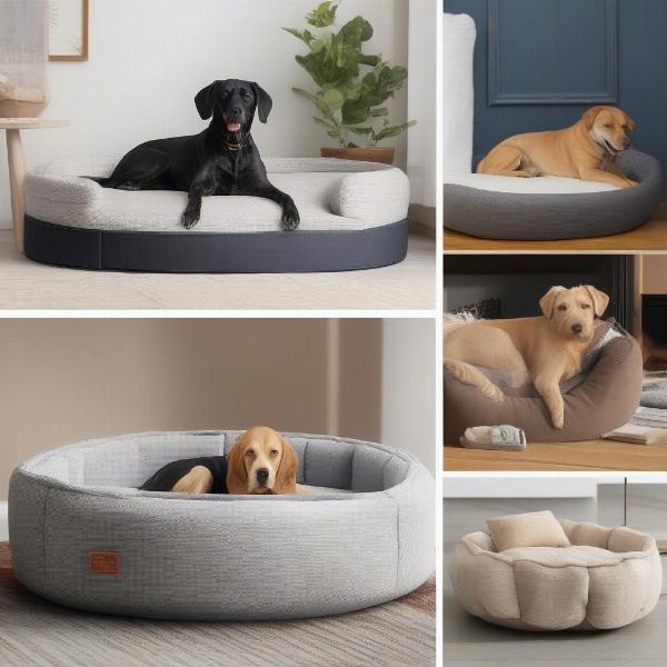 Dog Daybeds for Special Needs