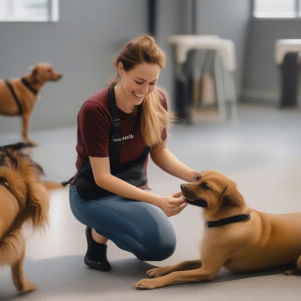 Dog daycare staff member interacting with a dog in Athens, GA