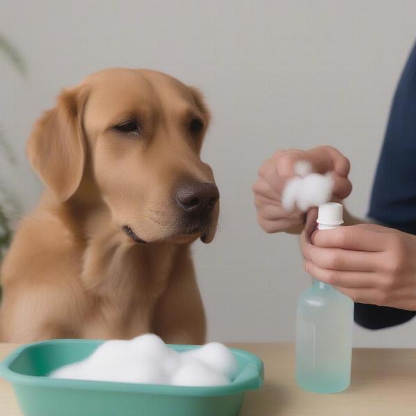 Cleaning a Dog's Ear