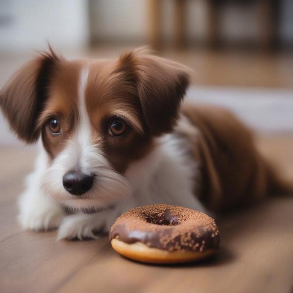 Dog eating a chocolate donut