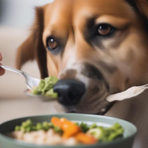 A dog eating from its bowl