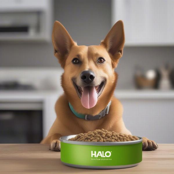 Dog Eating Halo Vegan Dog Food