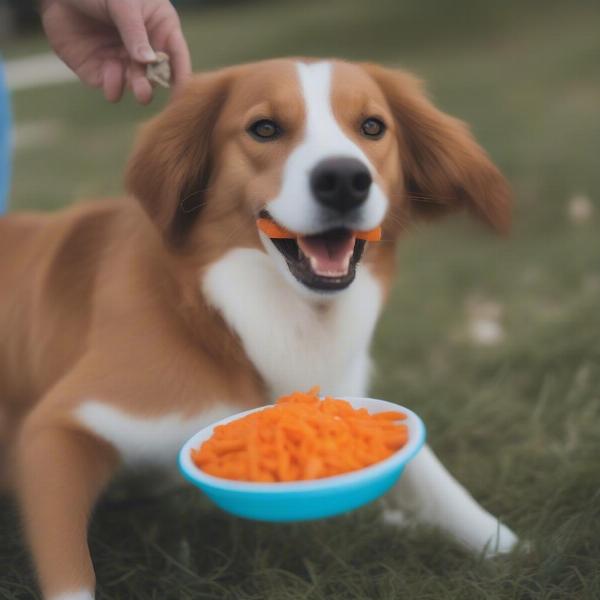 Dog Eating Healthy Treat