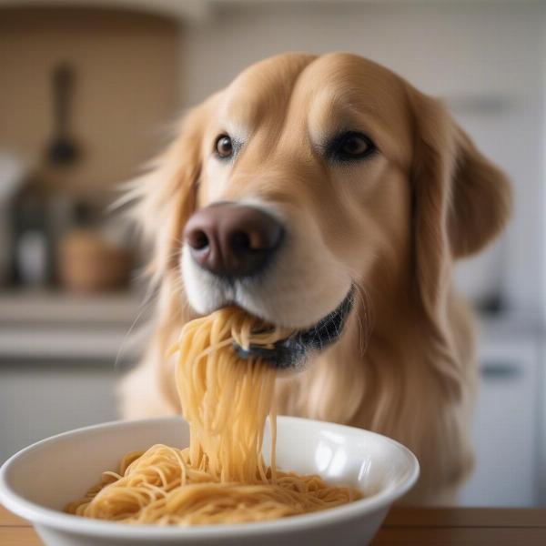 Dog Enjoying Pasta From a Bowl