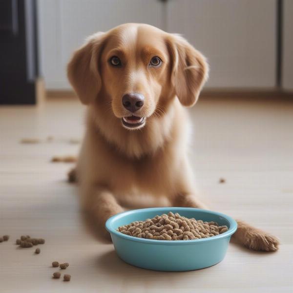 A dog enjoying a bowl of rabbit-based kibble