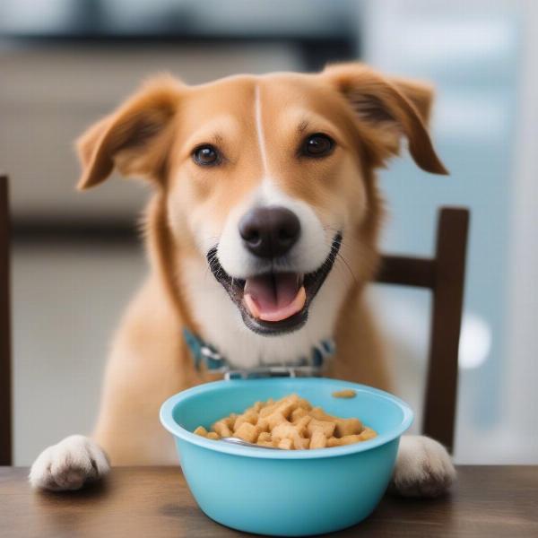 Dog Eating Soft Food with Braces