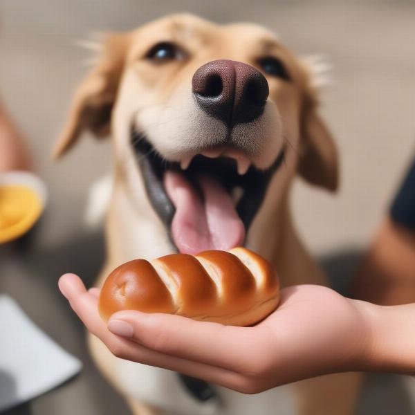 Dog Enjoying a Small Piece of Vienna Hot Dog Bun as a Treat