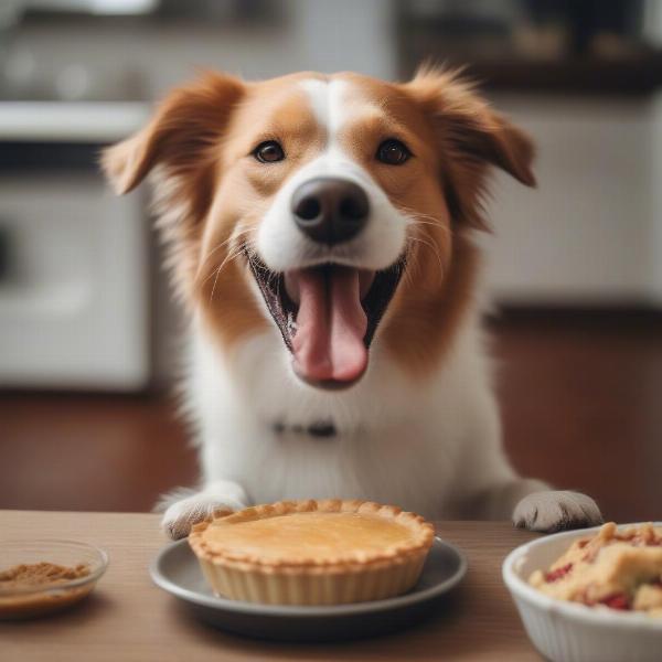 Dog Enjoying a Dog-Friendly Pie