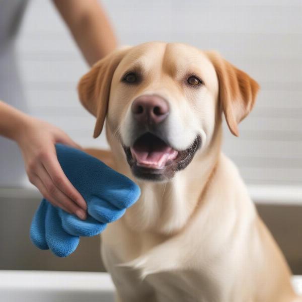 Dog Enjoying Bath With Mitt