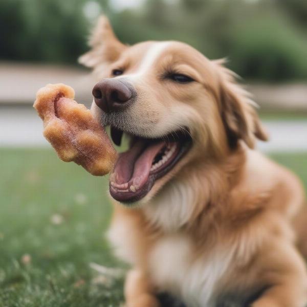 Dog Enjoying Dog-Friendly Treat