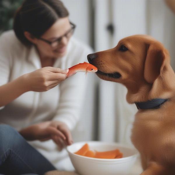 Dog enjoying a fish treat responsibly