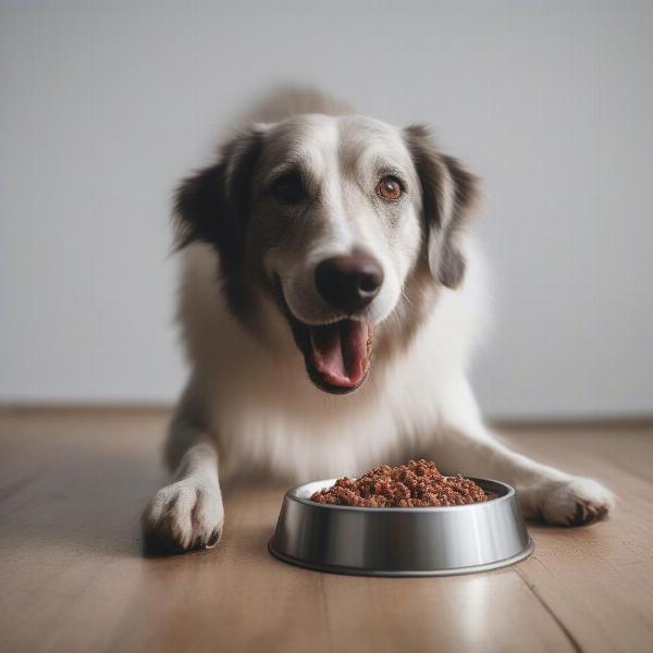 Dog Enjoying Meal with Topper