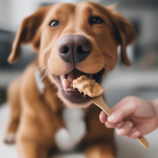 Dog Enjoying Peanut Butter