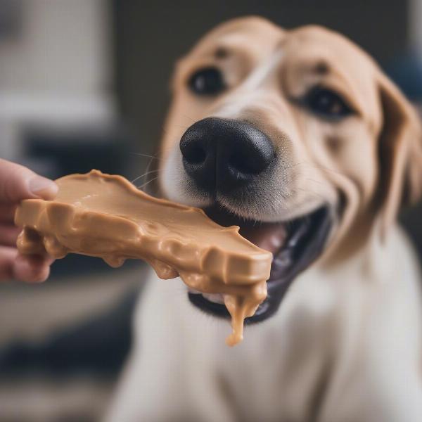 Dog Enjoying Peanut Butter Bone