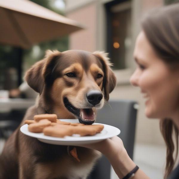 Dog enjoying a treat at a Greenville restaurant