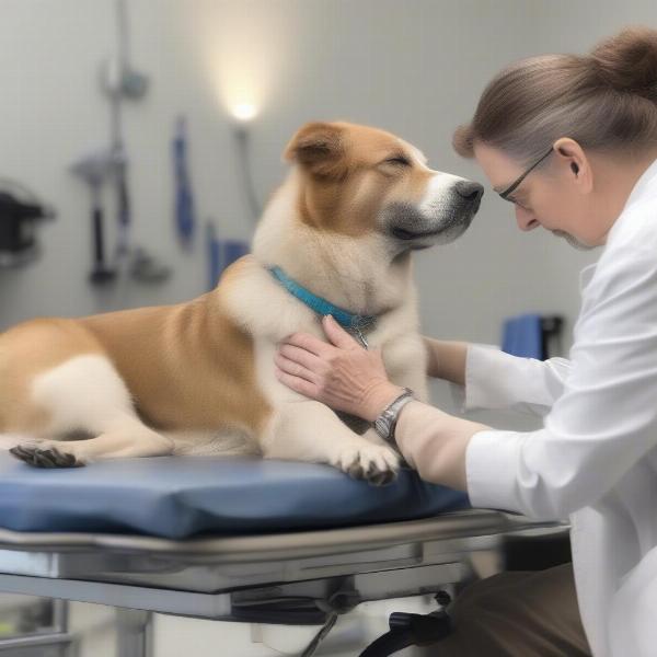 Dog being comforted during euthanasia