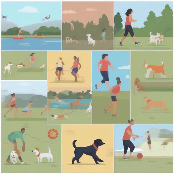 Dog Exercise Activities