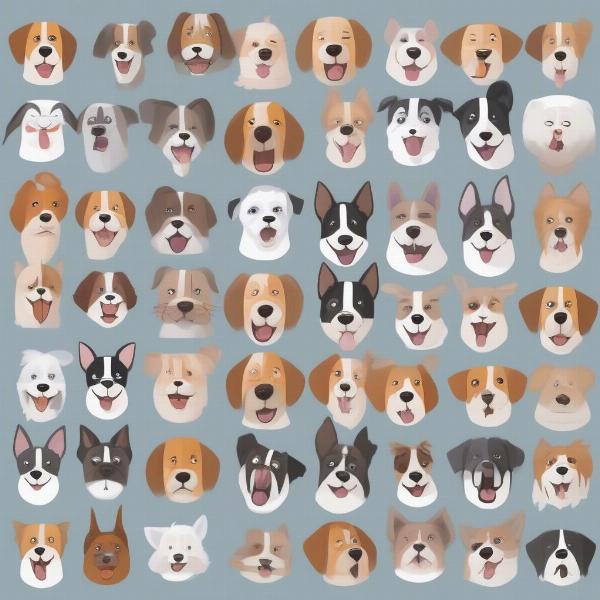 Understanding Dog Facial Expressions