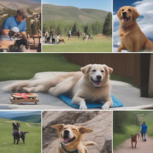 Dog-Friendly Activities in Park City