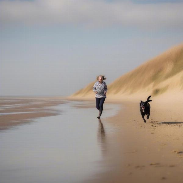 A dog enjoying a walk along the Suffolk coastline, with its owner.