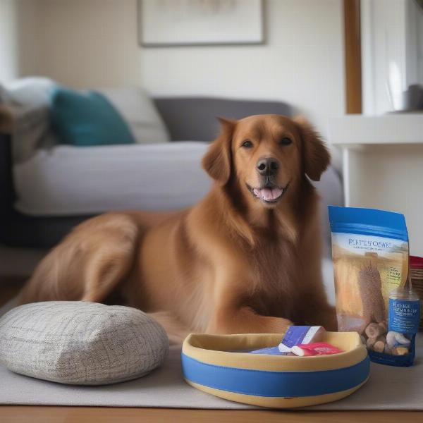 Essential amenities for a dog-friendly stay in Pitlochry, such as dog beds, bowls, and a welcome pack.