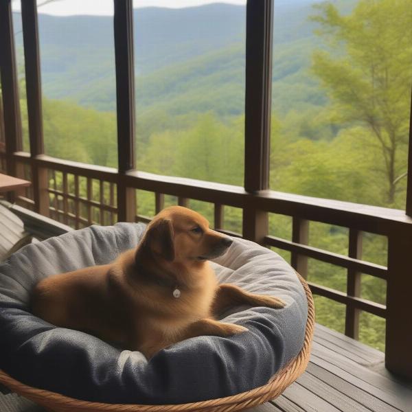 Dog-friendly B&B nestled in the Virginia mountains with a dog relaxing on the porch.