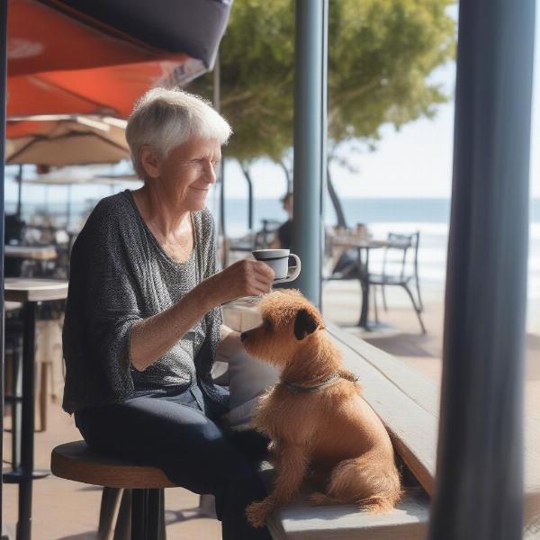 Dog sitting with owner at a dog-friendly cafe in Nambucca Heads