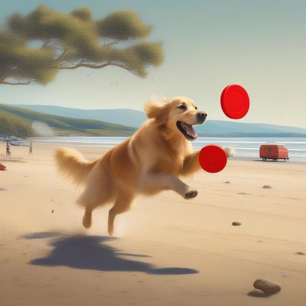 Dog enjoying the beach near a caravan site in Cornwall