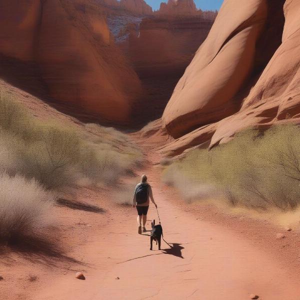 Dog friendly hiking trails in Utah with stunning red rock formations and a happy dog on a leash enjoying the scenery.