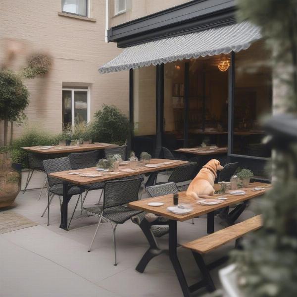 Dog-friendly outdoor dining area at a hotel in South Wales, allowing guests to enjoy meals with their furry companions.