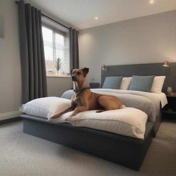 Dog-friendly hotel room in Bournemouth with a comfy dog bed and water bowl.