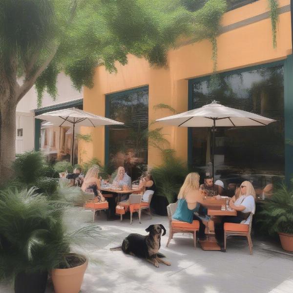 Dog-friendly patio in West Palm Beach