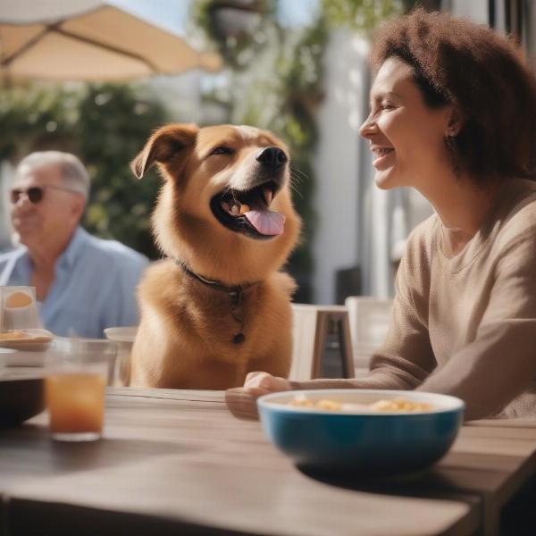 Dog Enjoying a Meal with Owners on a Restaurant Patio in Norfolk