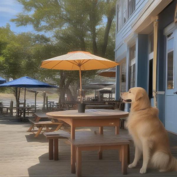 Dog-friendly restaurant patio in the Outer Banks with a dog enjoying a water bowl.