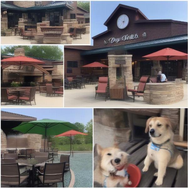 Dog-Friendly Restaurants in Wisconsin Dells