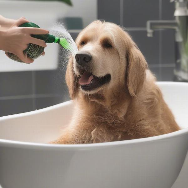 Dog getting a bath with tea tree oil shampoo