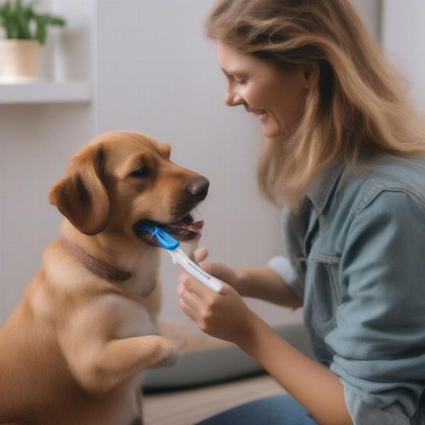 Brushing a Dog's Teeth