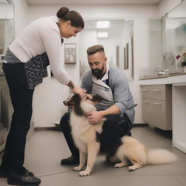 Dog groomer communicating with a dog owner in Sudbury