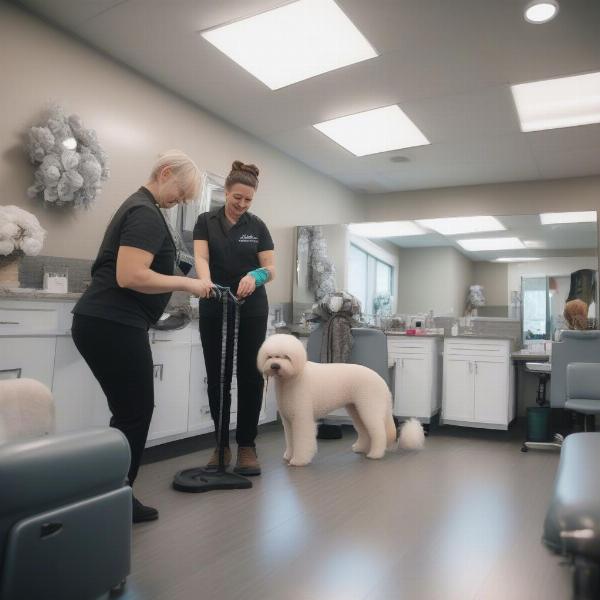 Clean and safe dog grooming salon in Bonney Lake