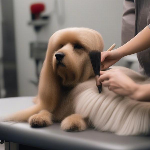 Dog Grooming Greensborough VIC: Comfortable Dog