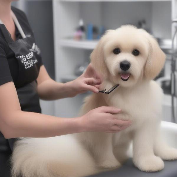 Dog Grooming in Leighton Buzzard