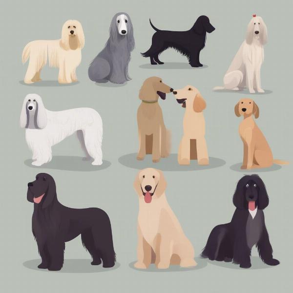 Understanding Your Dog's Grooming Needs