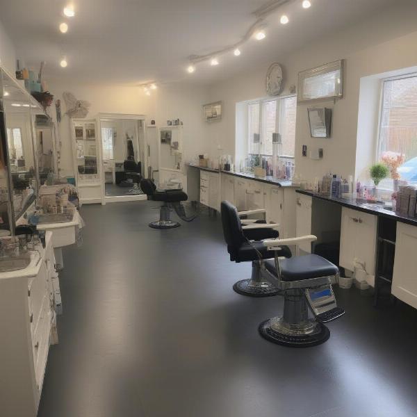 Dog Grooming Salon Interior in Saffron Walden